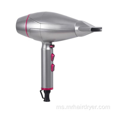 Ionic Long Life AC Motor Hair Dryer